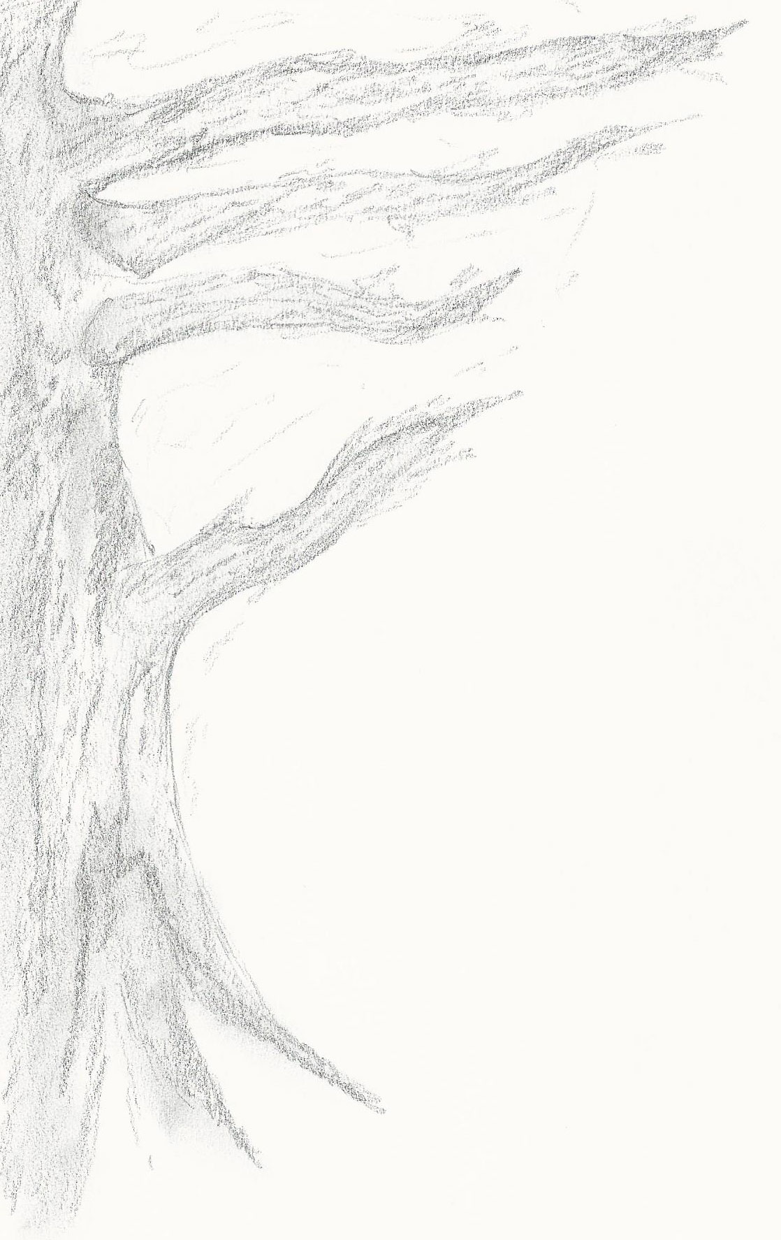 Kreatives Holzdesign